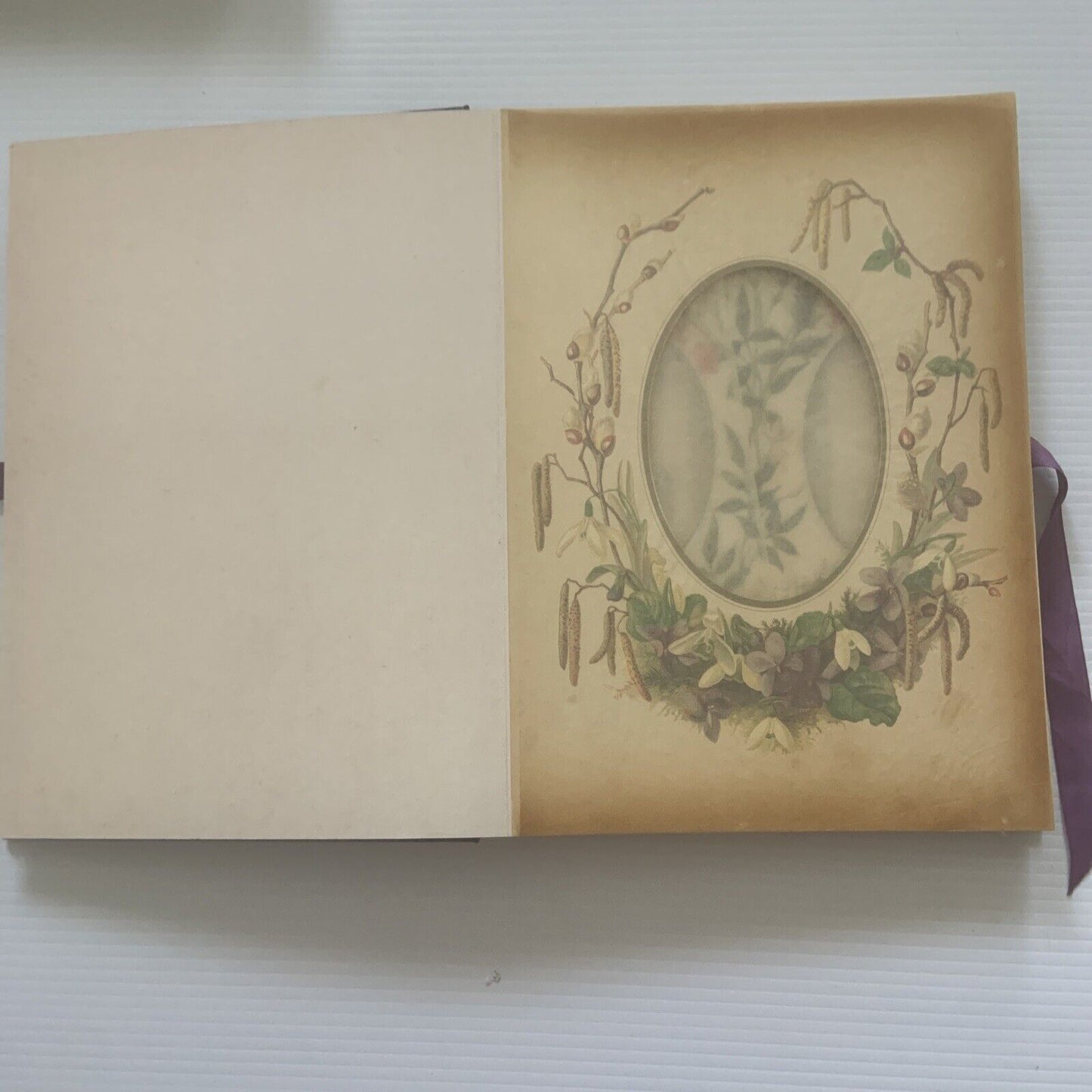 Photograph Album THE LANGUAGE OF FLOWERS  1992 Foxing Tanning 29x20.5cm PHOTO