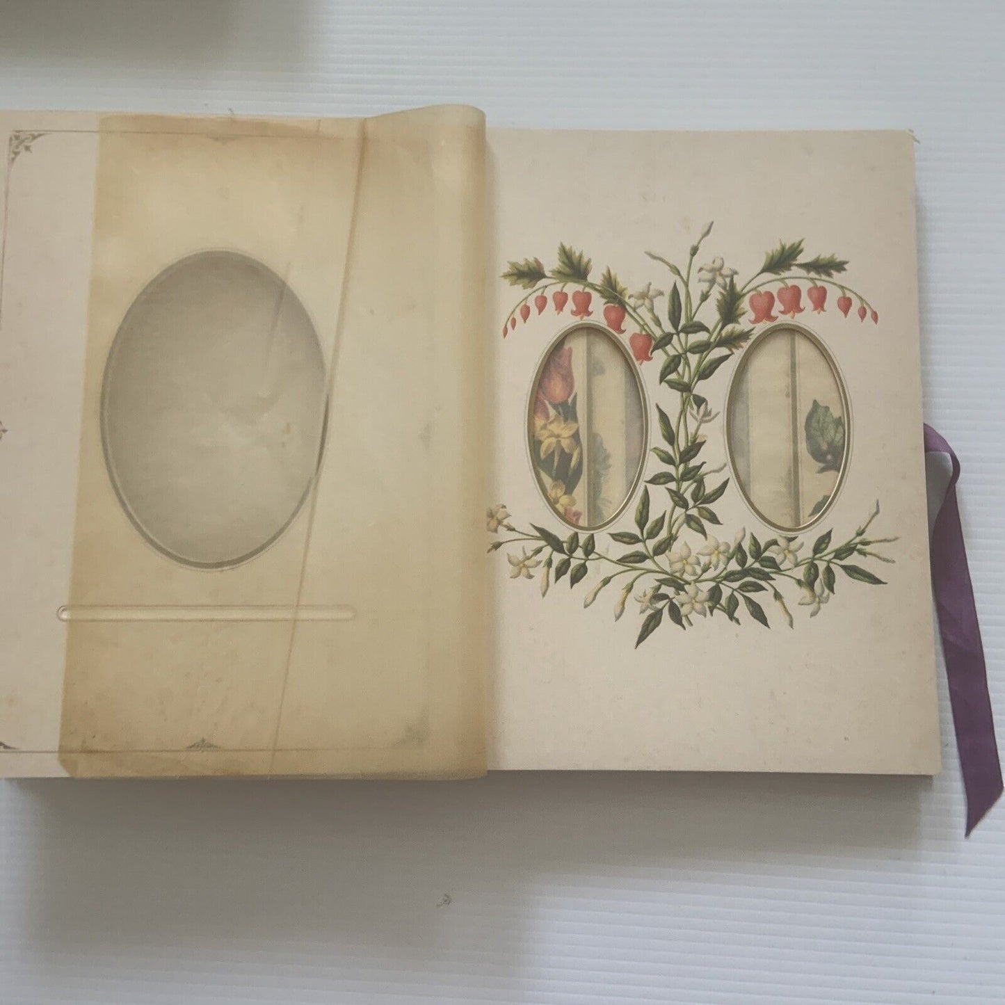 Photograph Album THE LANGUAGE OF FLOWERS  1992 Foxing Tanning 29x20.5cm PHOTO