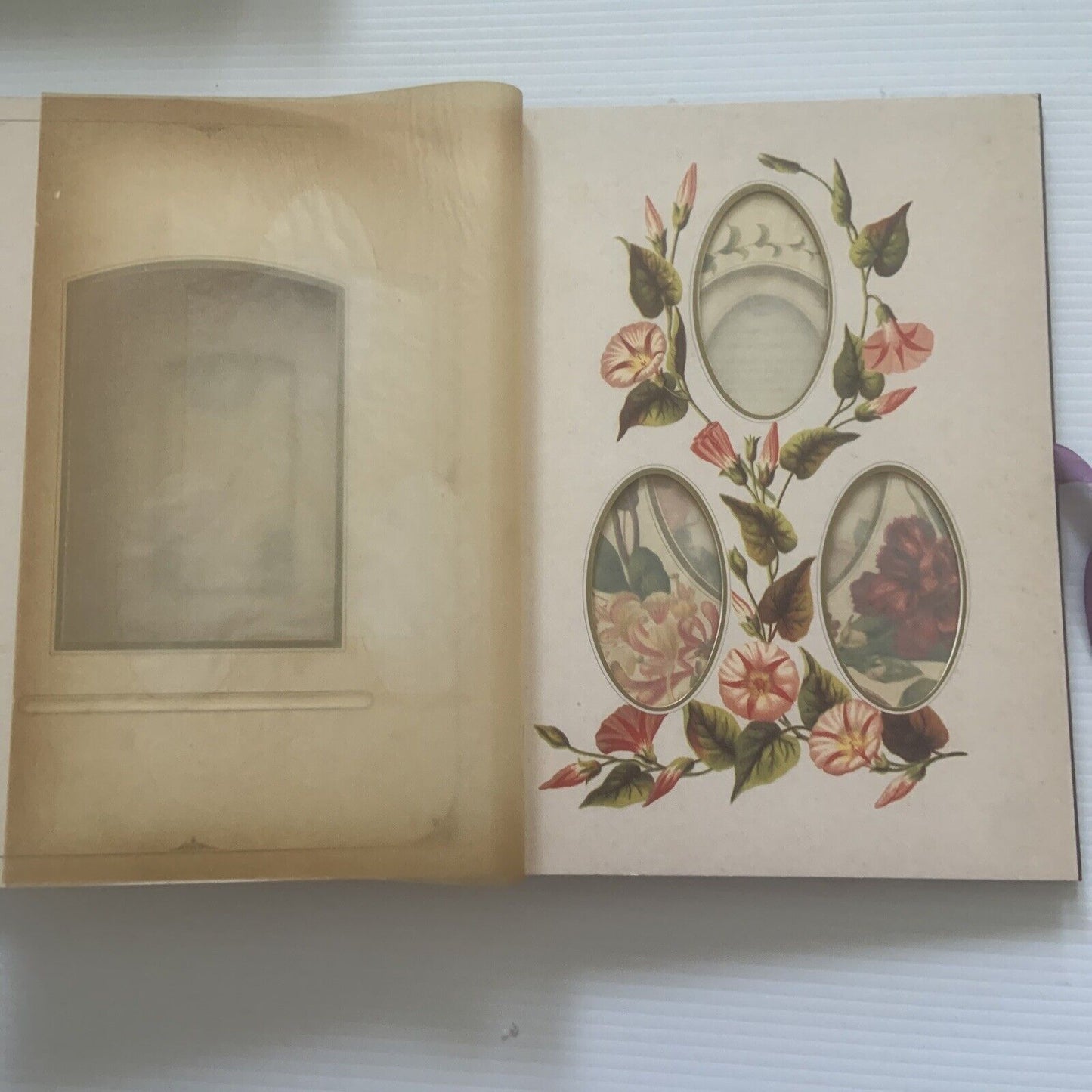 Photograph Album THE LANGUAGE OF FLOWERS  1992 Foxing Tanning 29x20.5cm PHOTO