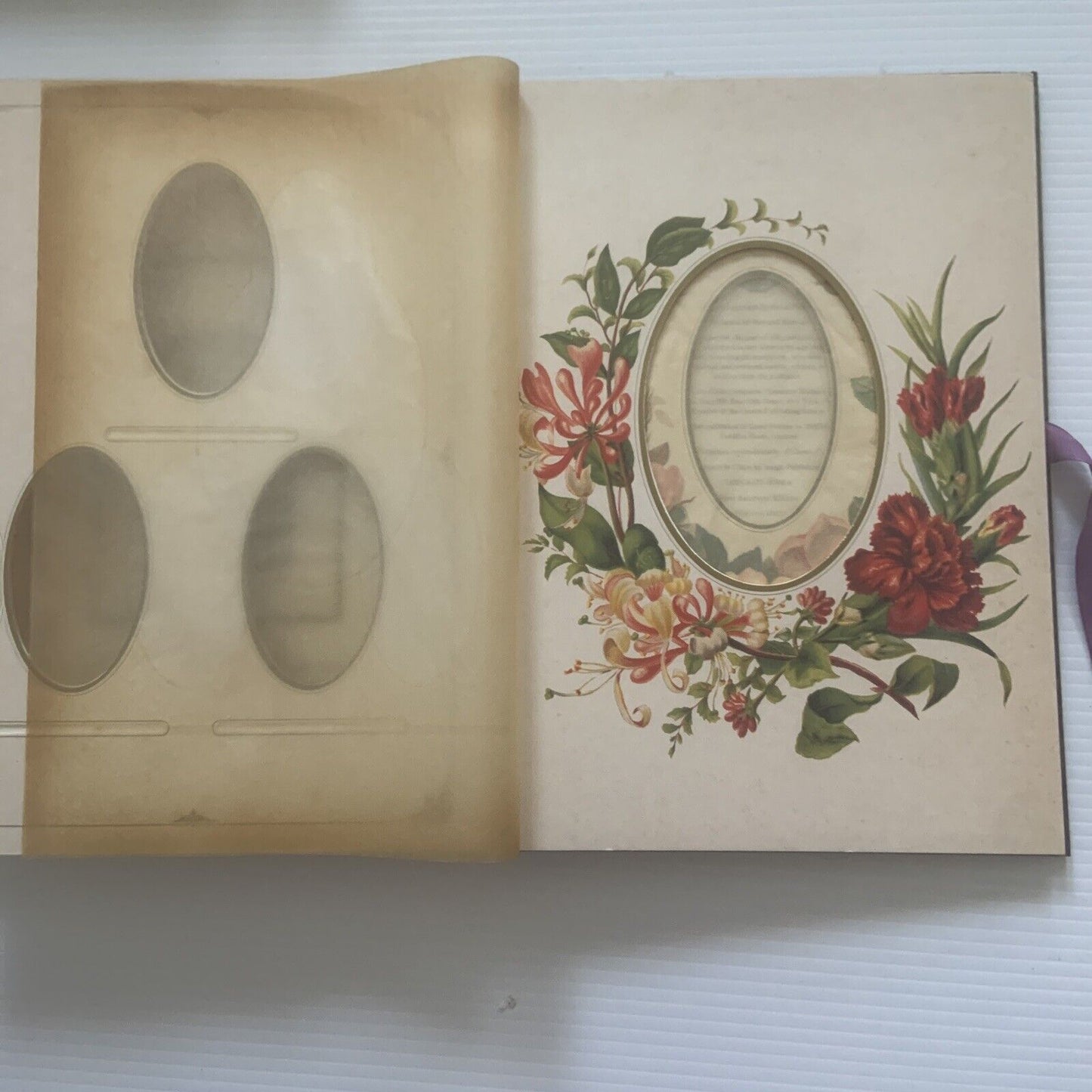 Photograph Album THE LANGUAGE OF FLOWERS  1992 Foxing Tanning 29x20.5cm PHOTO