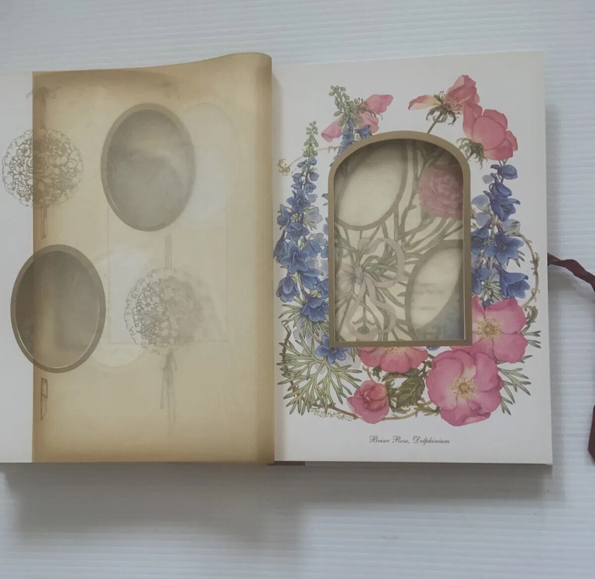 Photograph Album Joy Scherger Country Flowers Victoria Avenue Paper Company 1995