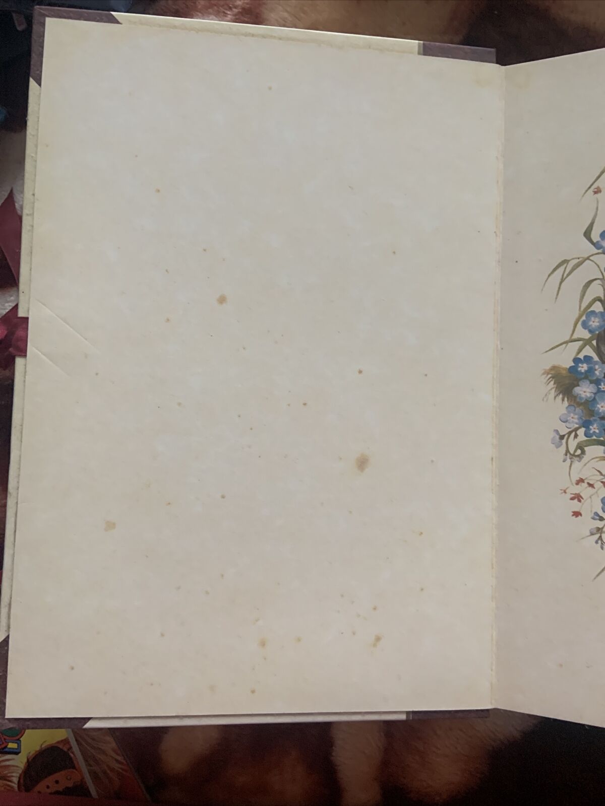 The Victorian Photograph Album By Bramley Beaut Books Foxing On Pages