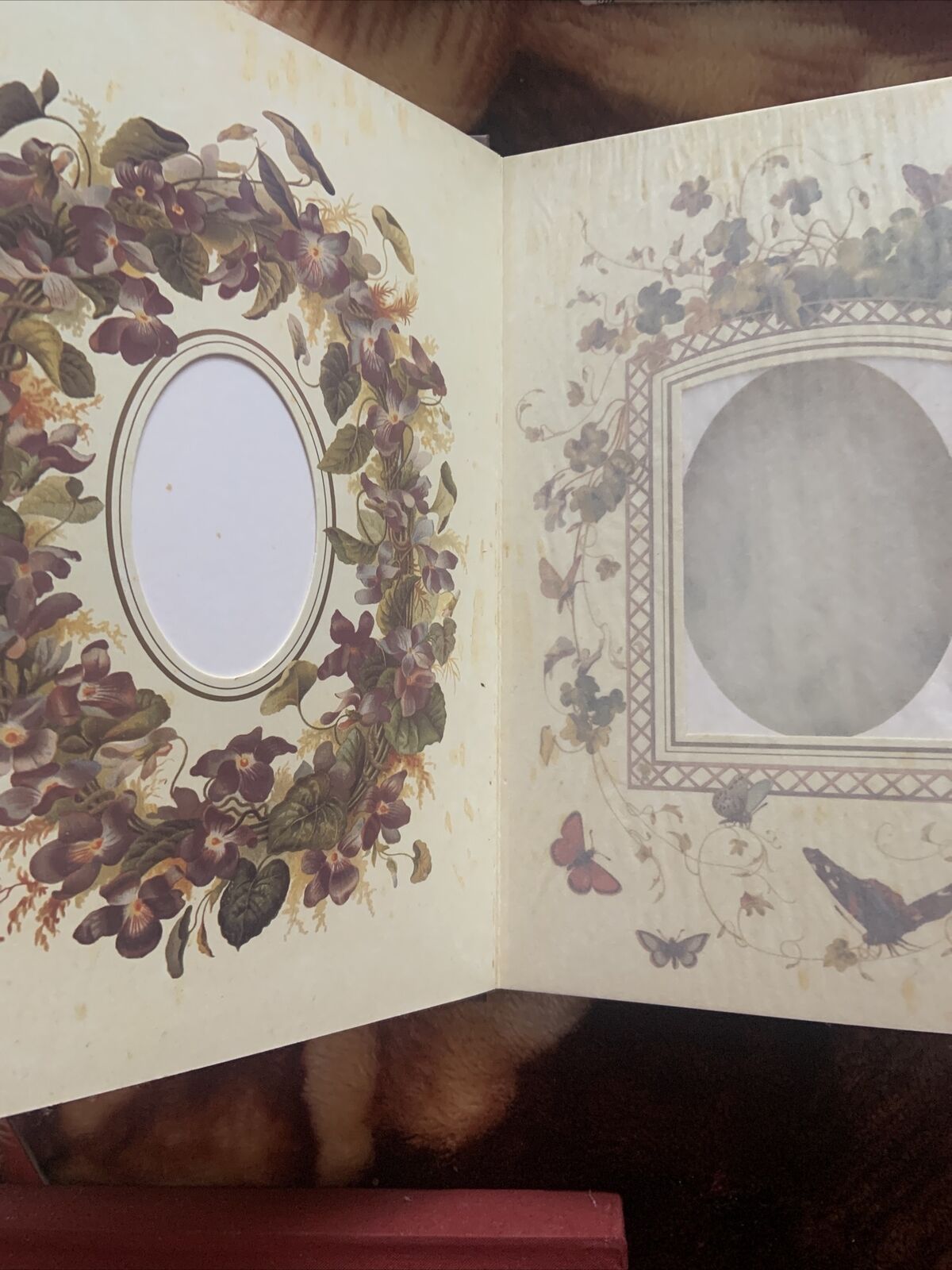 The Victorian Photograph Album By Bramley Beaut Books Foxing On Pages