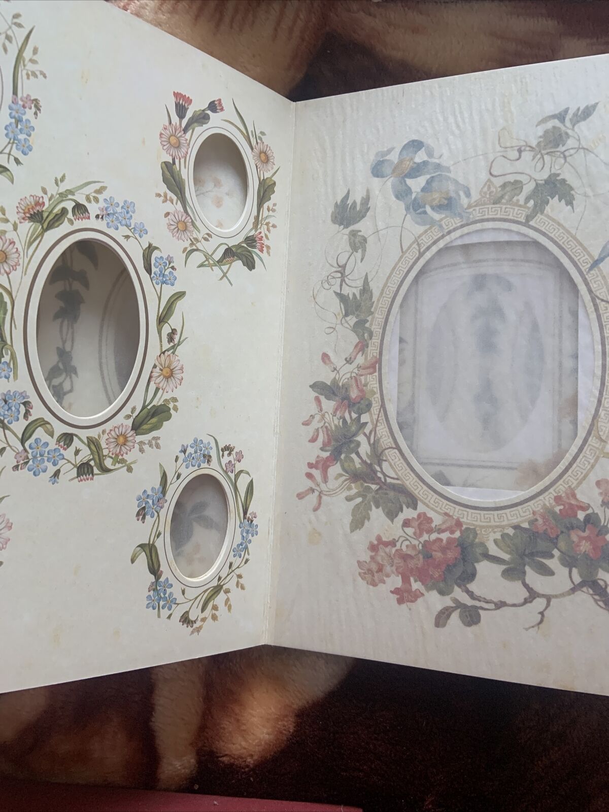 The Victorian Photograph Album By Bramley Beaut Books Foxing On Pages