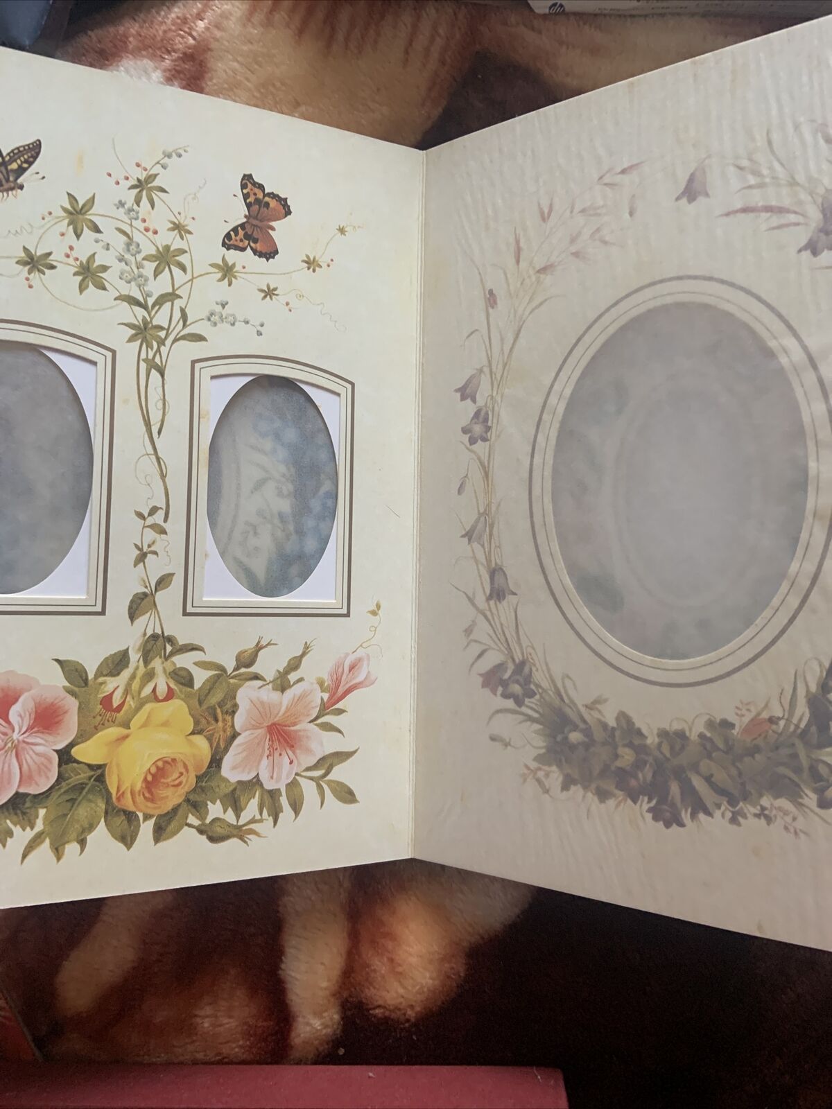The Victorian Photograph Album By Bramley Beaut Books Foxing On Pages