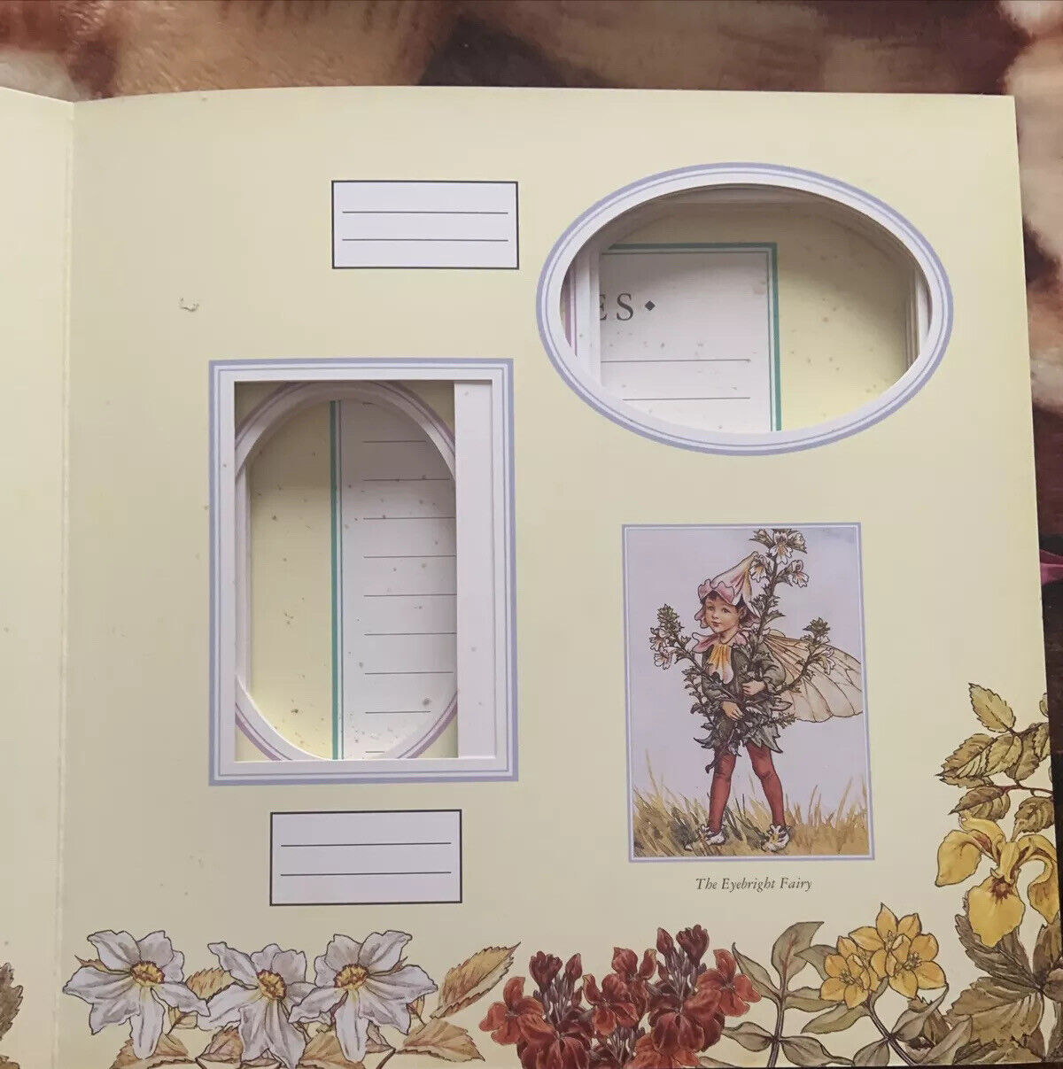 Photo Album Flower Fairies Moments & Memories 1999  Cicely Mary Barker Ribbon HC