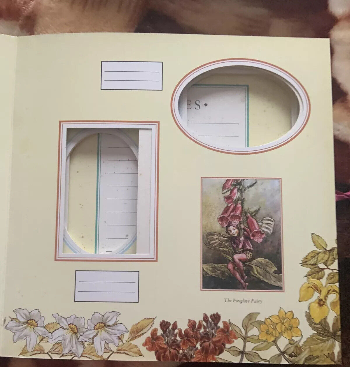 Photo Album Flower Fairies Moments & Memories 1999  Cicely Mary Barker Ribbon HC