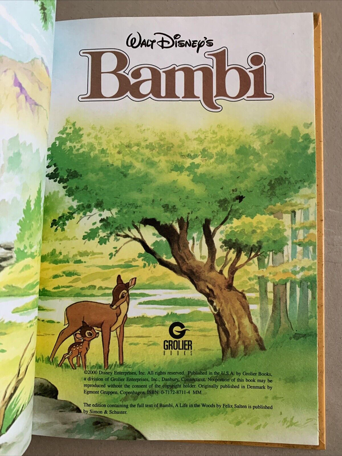 HC Book Walt Disneys Bambi Disney’s World of Reading 2000 Children’s Classic