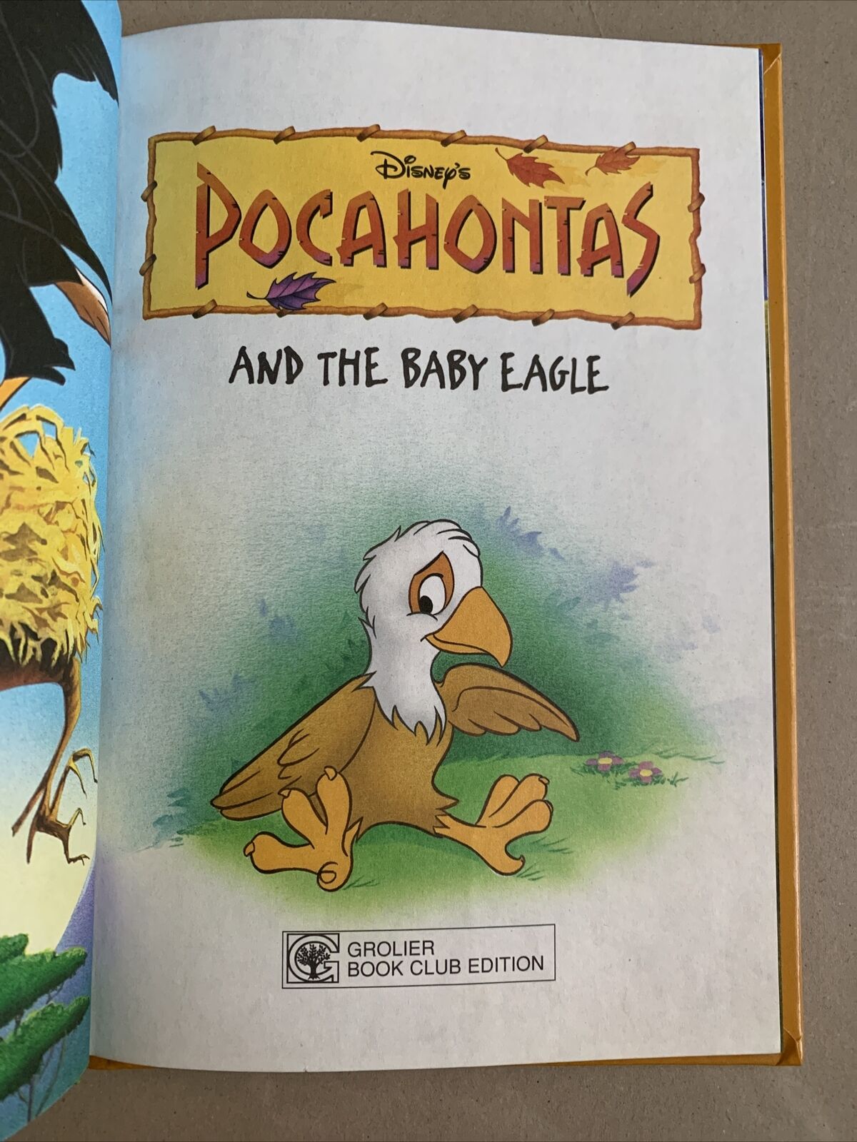 HC Book Disneys Pocahontas and the Baby Eagle Illustrated Full Colour  1997