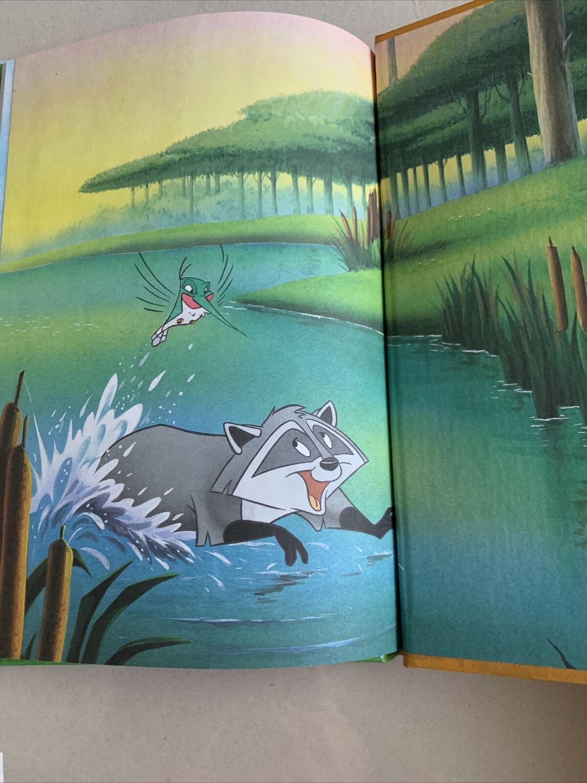 HC Book Disneys Pocahontas and the Baby Eagle Illustrated Full Colour  1997