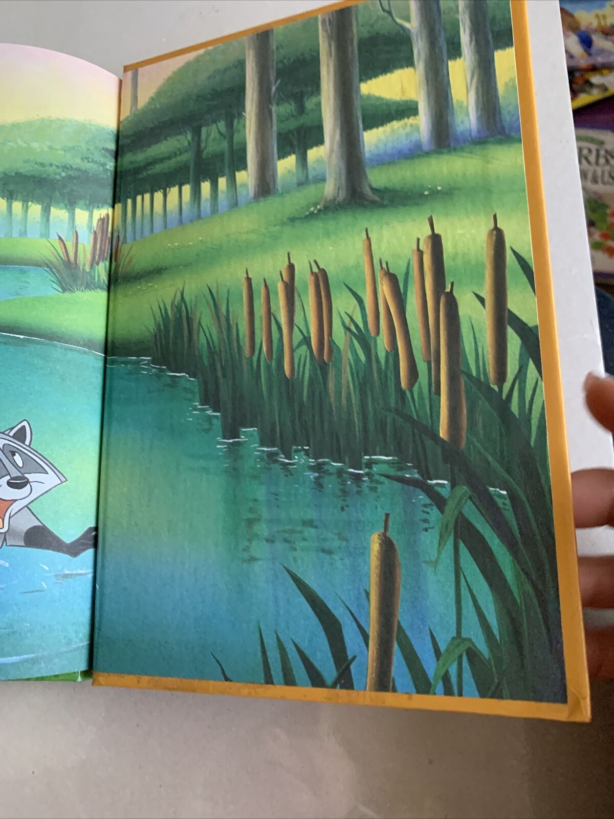 HC Book Disneys Pocahontas and the Baby Eagle Illustrated Full Colour  1997