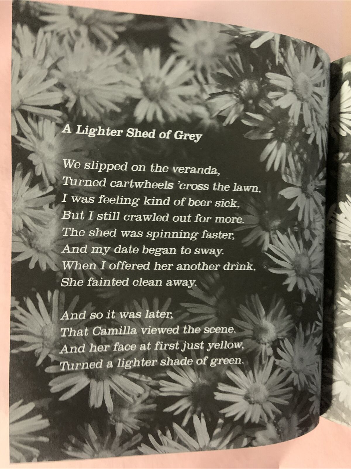 HC FIFTY SHEDS OF GREY Erotica for the not too modern male by C T Grey English