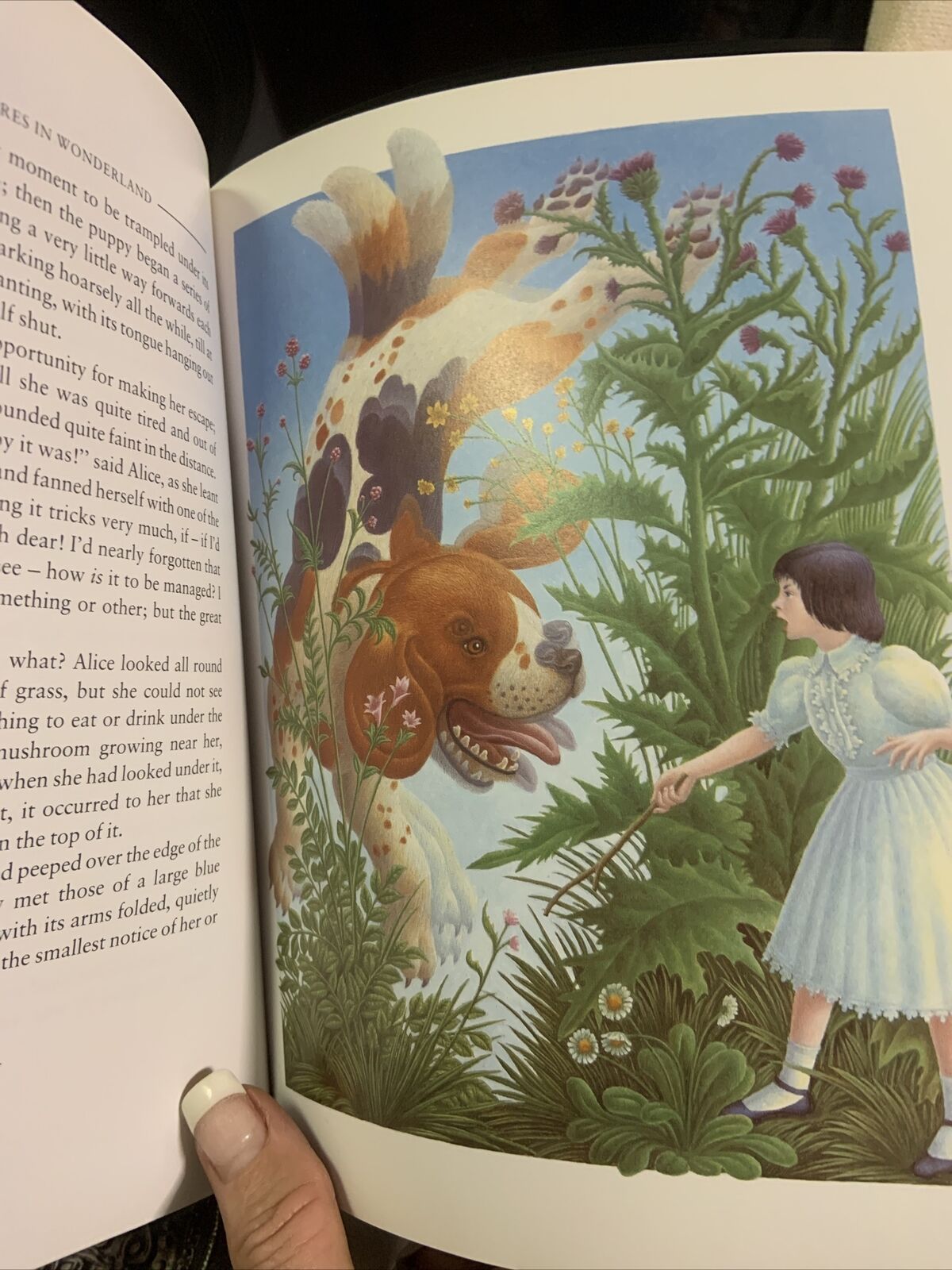 Alice’s Adventures in Wonderland lLewis Carroll illustrator Justin Todd 1988 HC