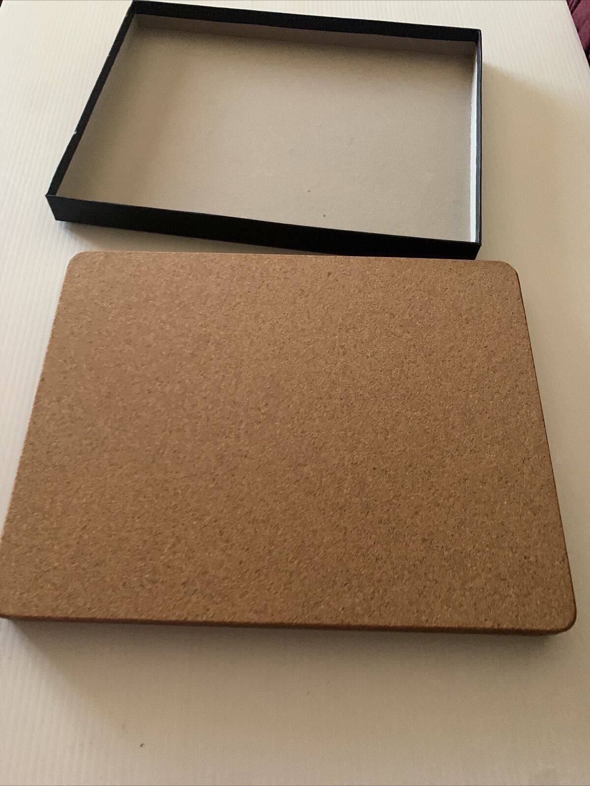 CINNAMON PLACE MATS 6 Piece Cork Box Set 34x26.5cm Beautiful Design NEW