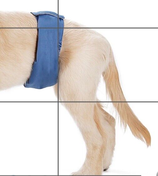 Doglemi Washable Diaper Male Dog Puppy Nappy Belly Band Sanitary Pant Size S NEW