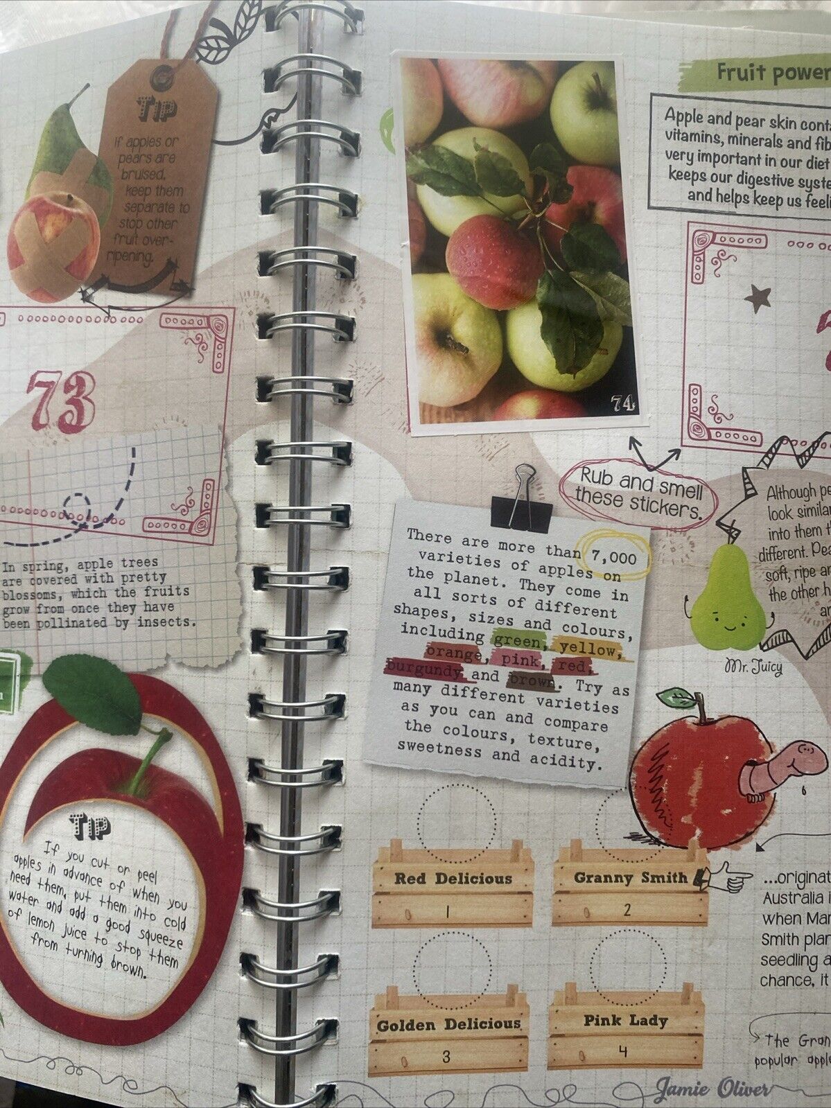 CookBook Jamie’s Garden Collect Grow Cook Share Spiral Bound HC Woolworths 2014