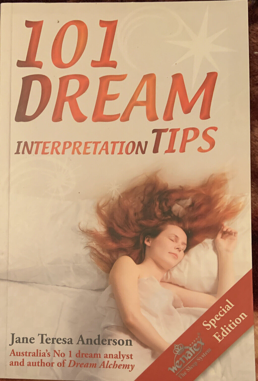 PB Book 101 Dream Interpretation Tips Jane Teresa Anderson 2007 Sleep NEW