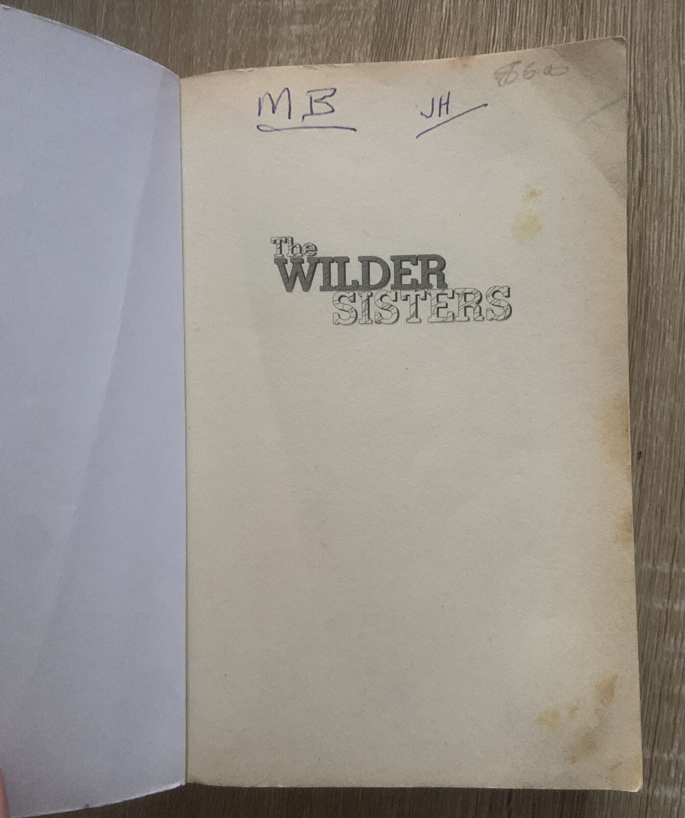 PB Book THE WILDER SISTERS By Jo-Ann Mapson Family Romance Novel