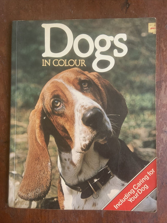 PB Book DOGS IN COLOUR Including Caring for Your Dog Anna Pollard Vintage 1979