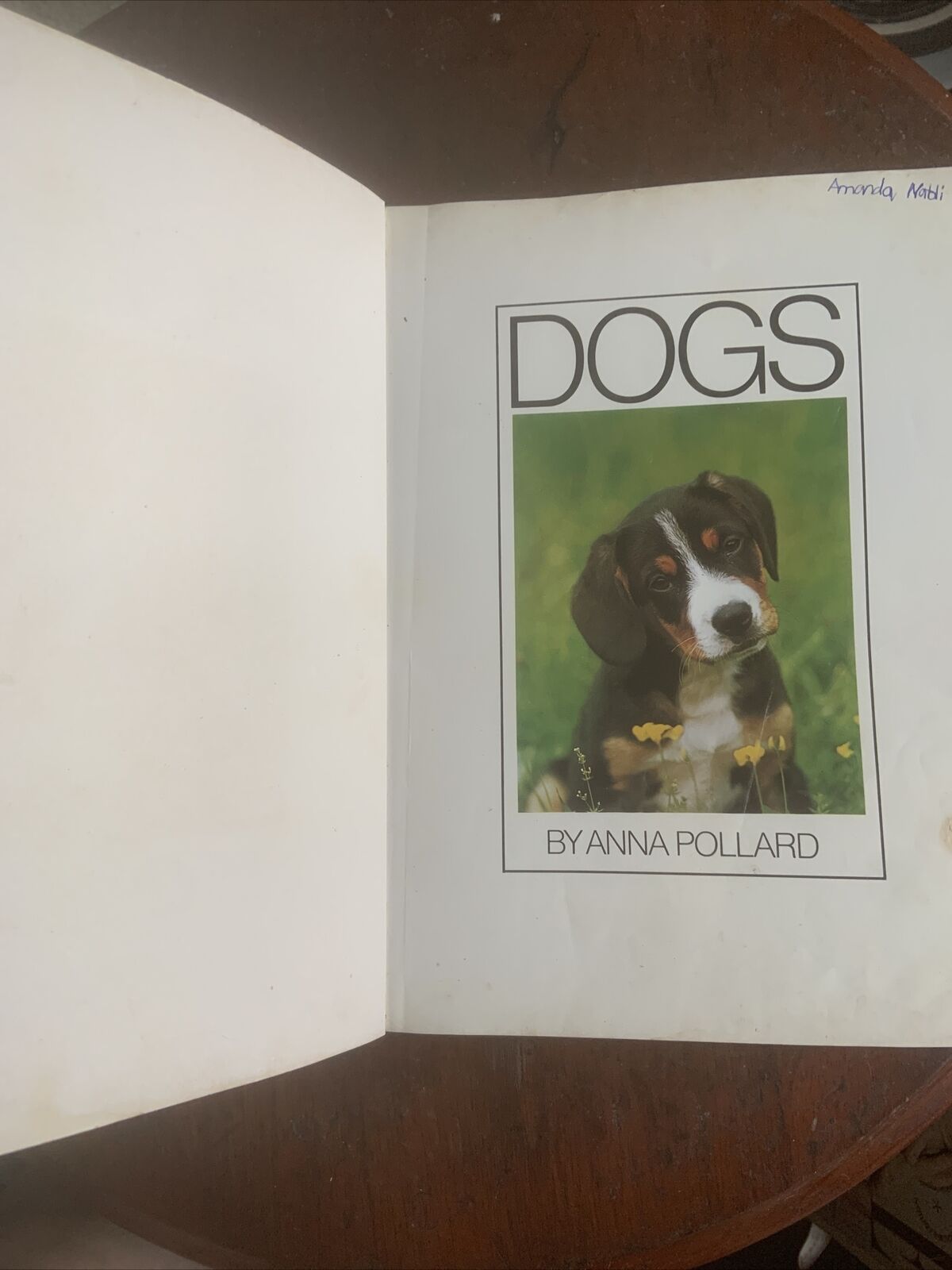 PB Book DOGS IN COLOUR Including Caring for Your Dog Anna Pollard Vintage 1979