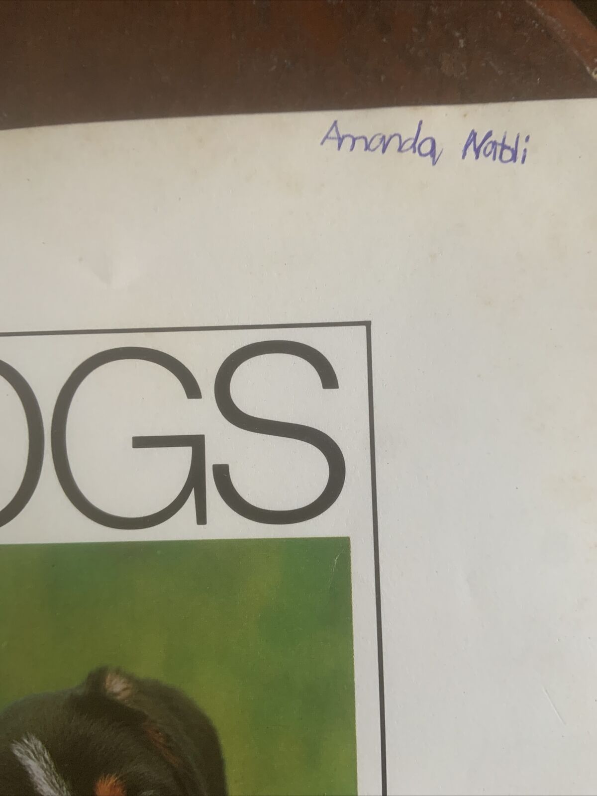 PB Book DOGS IN COLOUR Including Caring for Your Dog Anna Pollard Vintage 1979