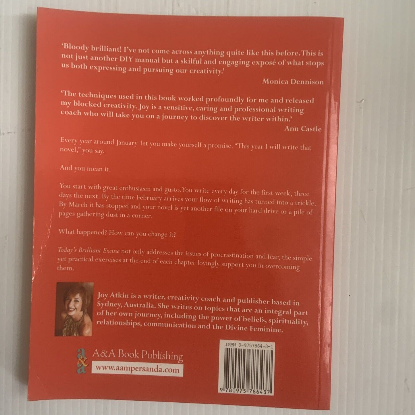 PB So What's Today's Brilliant Excuse Joy Atkins Overcoming Procrastination 2005