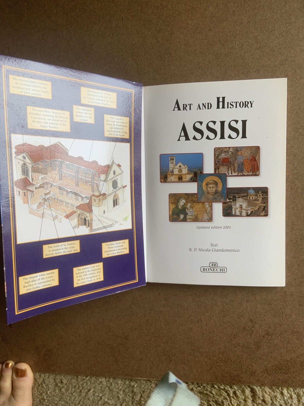 Art and History of Assisi Book St Francis Italy Glossy PB Book Travel History