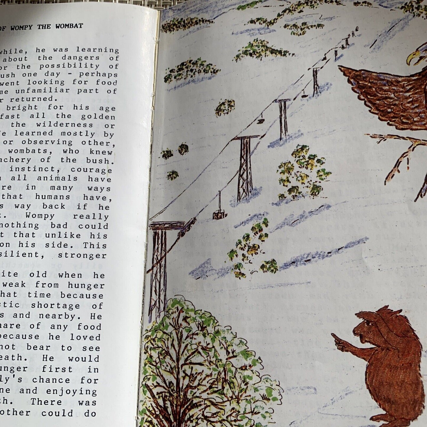 The Adventures of Wompy the Wombat from the Snowy Mountains 1988 113 Pg Aussie