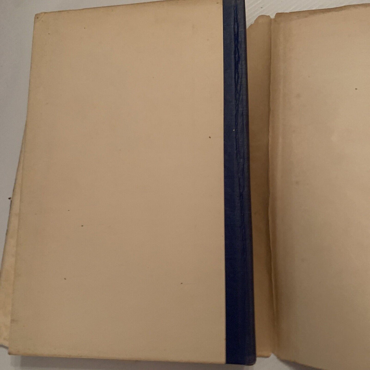 SHORE the Sydney Church of England Grammar School The Foundation by E R Holme HC