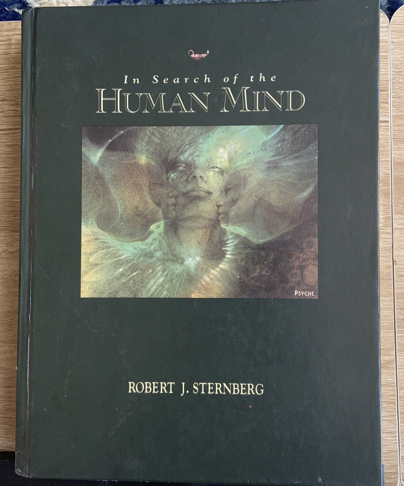 IN SEARCH OF THE HUMAN MIND by Robert J Sternberg Large HC Text Book Psychology