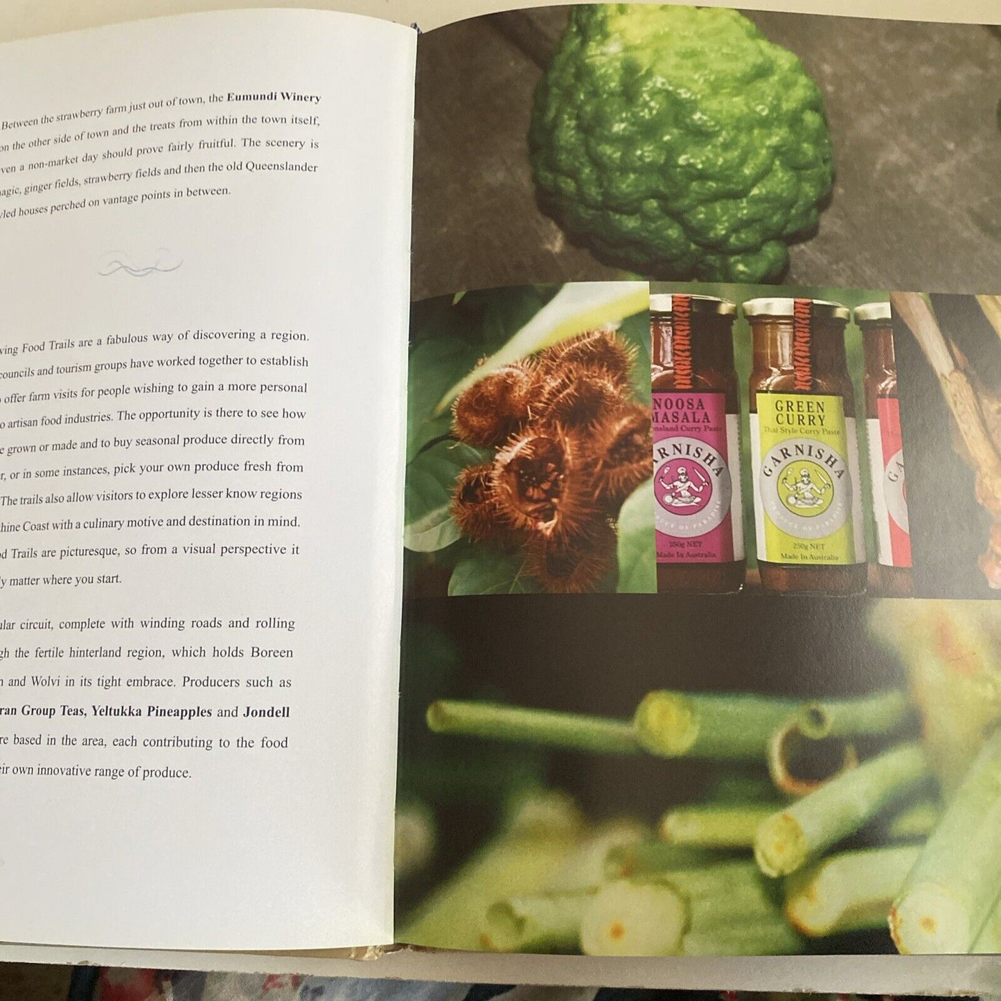 Cookbook A GOURMET ODYSSEY Noosa to Mooloolaba Petra Frieser LG HC 2005 Recipes