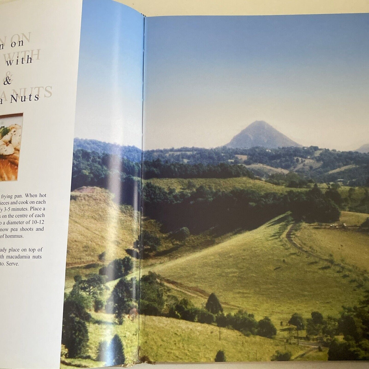 Cookbook A GOURMET ODYSSEY Noosa to Mooloolaba Petra Frieser LG HC 2005 Recipes