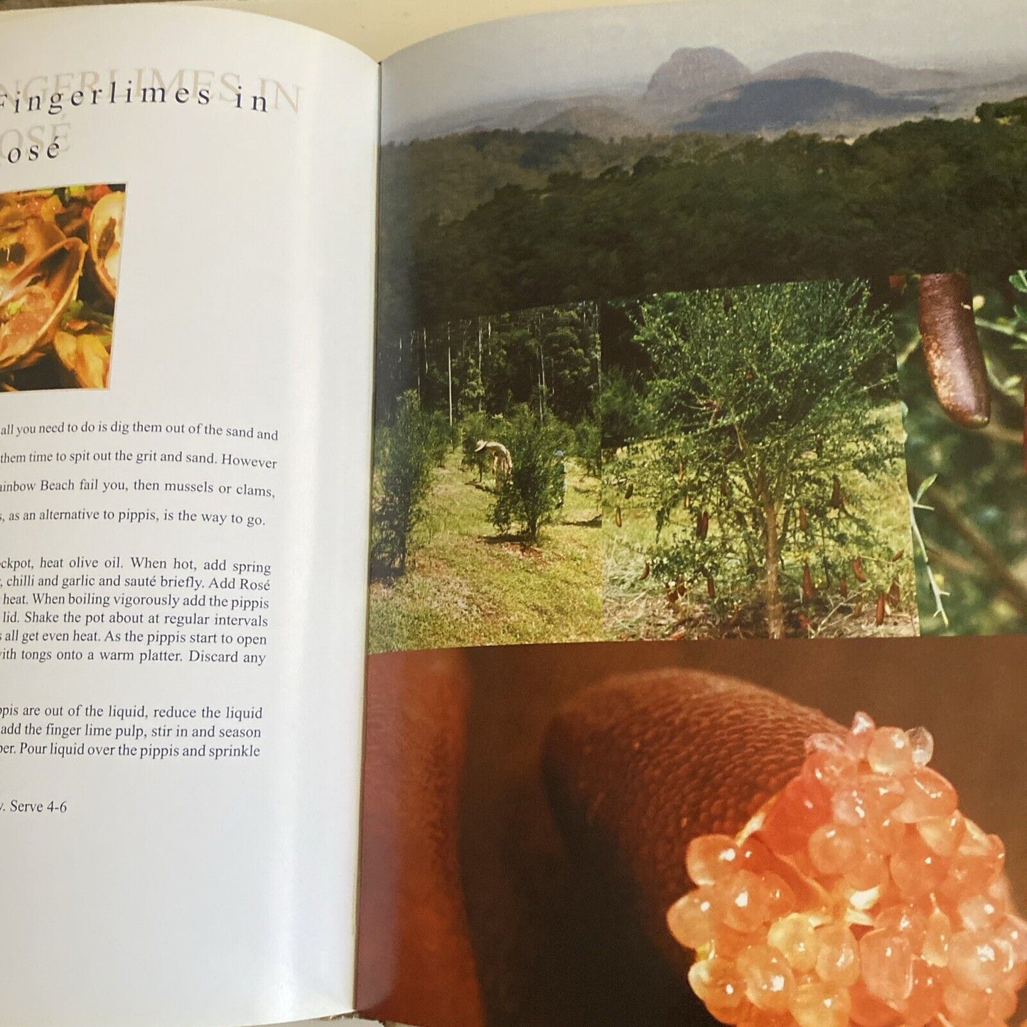 Cookbook A GOURMET ODYSSEY Noosa to Mooloolaba Petra Frieser LG HC 2005 Recipes