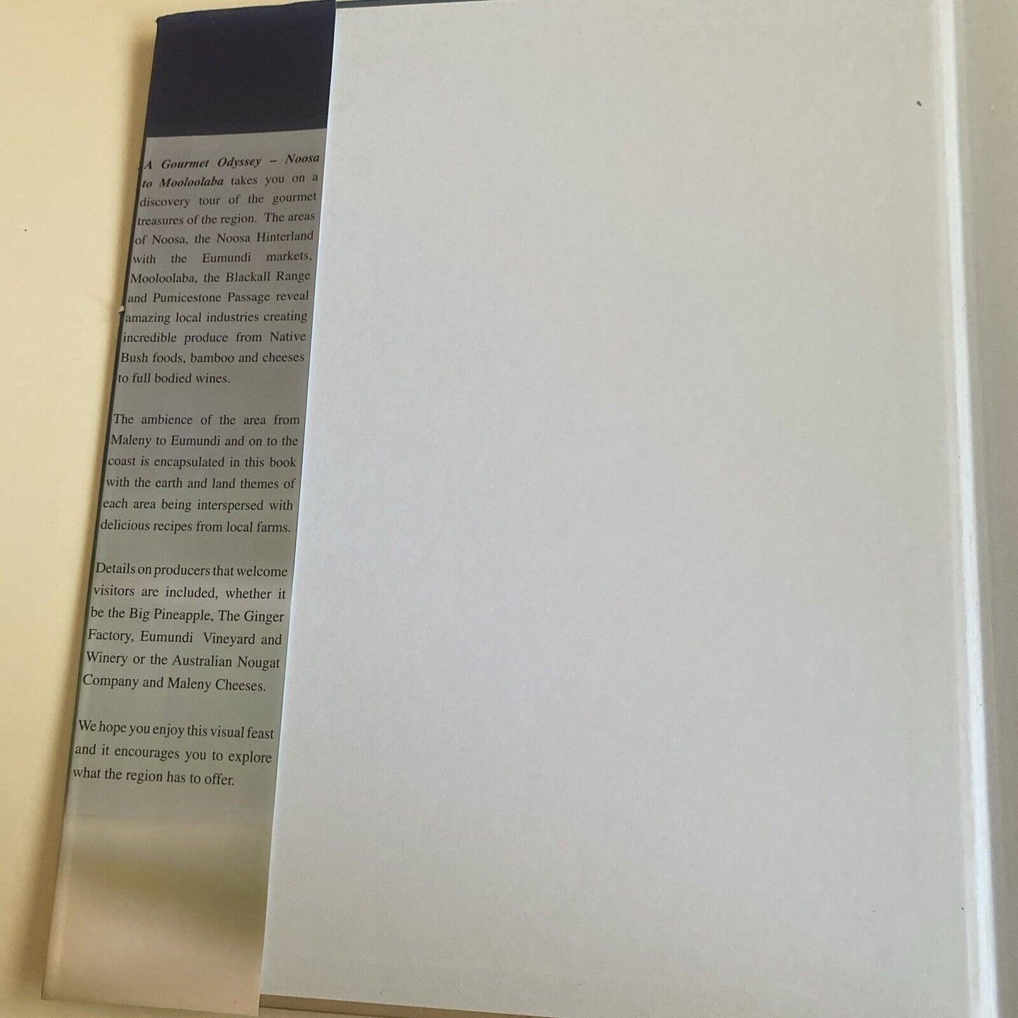 Cookbook A GOURMET ODYSSEY Noosa to Mooloolaba Petra Frieser LG HC 2005 Recipes