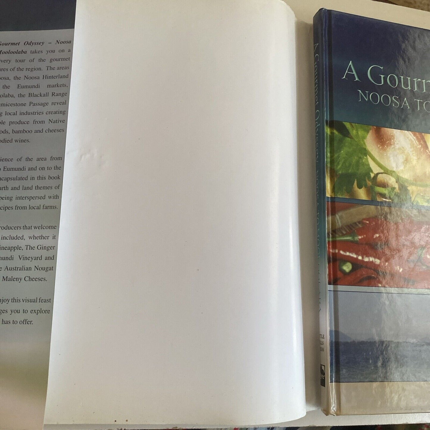 Cookbook A GOURMET ODYSSEY Noosa to Mooloolaba Petra Frieser LG HC 2005 Recipes
