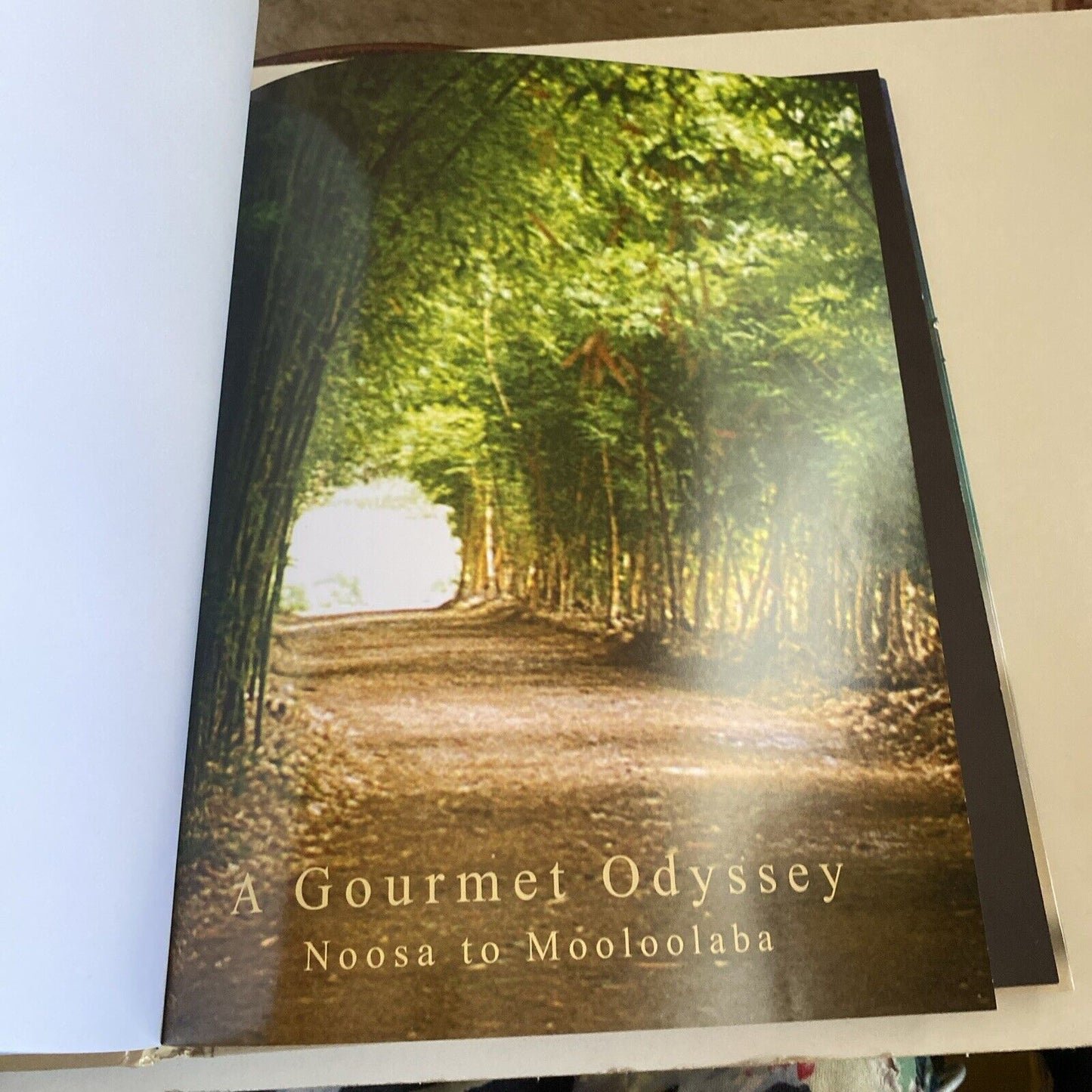 Cookbook A GOURMET ODYSSEY Noosa to Mooloolaba Petra Frieser LG HC 2005 Recipes