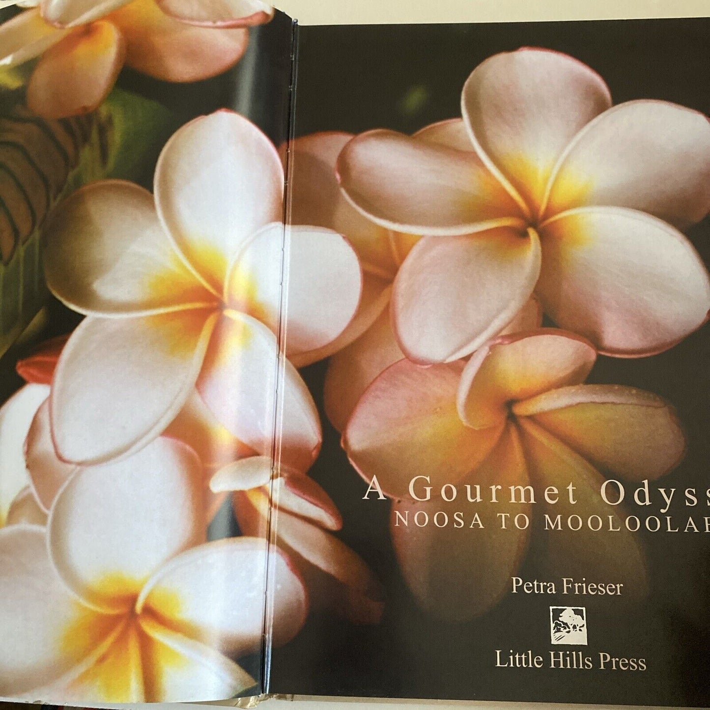 Cookbook A GOURMET ODYSSEY Noosa to Mooloolaba Petra Frieser LG HC 2005 Recipes