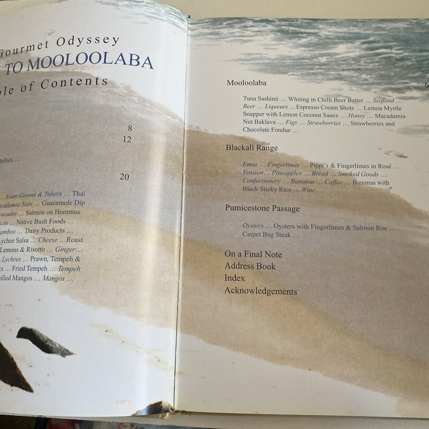 Cookbook A GOURMET ODYSSEY Noosa to Mooloolaba Petra Frieser LG HC 2005 Recipes