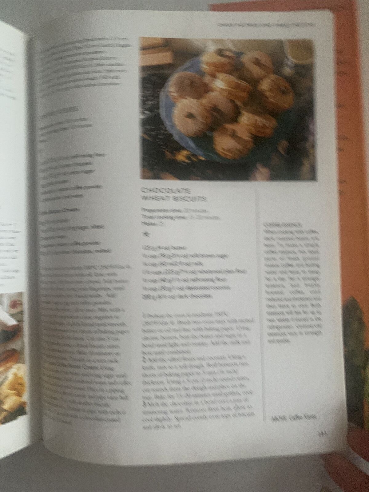 Cookbook The ESSENTIAL VEGETARIAN Murdoch Books 1997 Australia Recipe HC DJ NEW