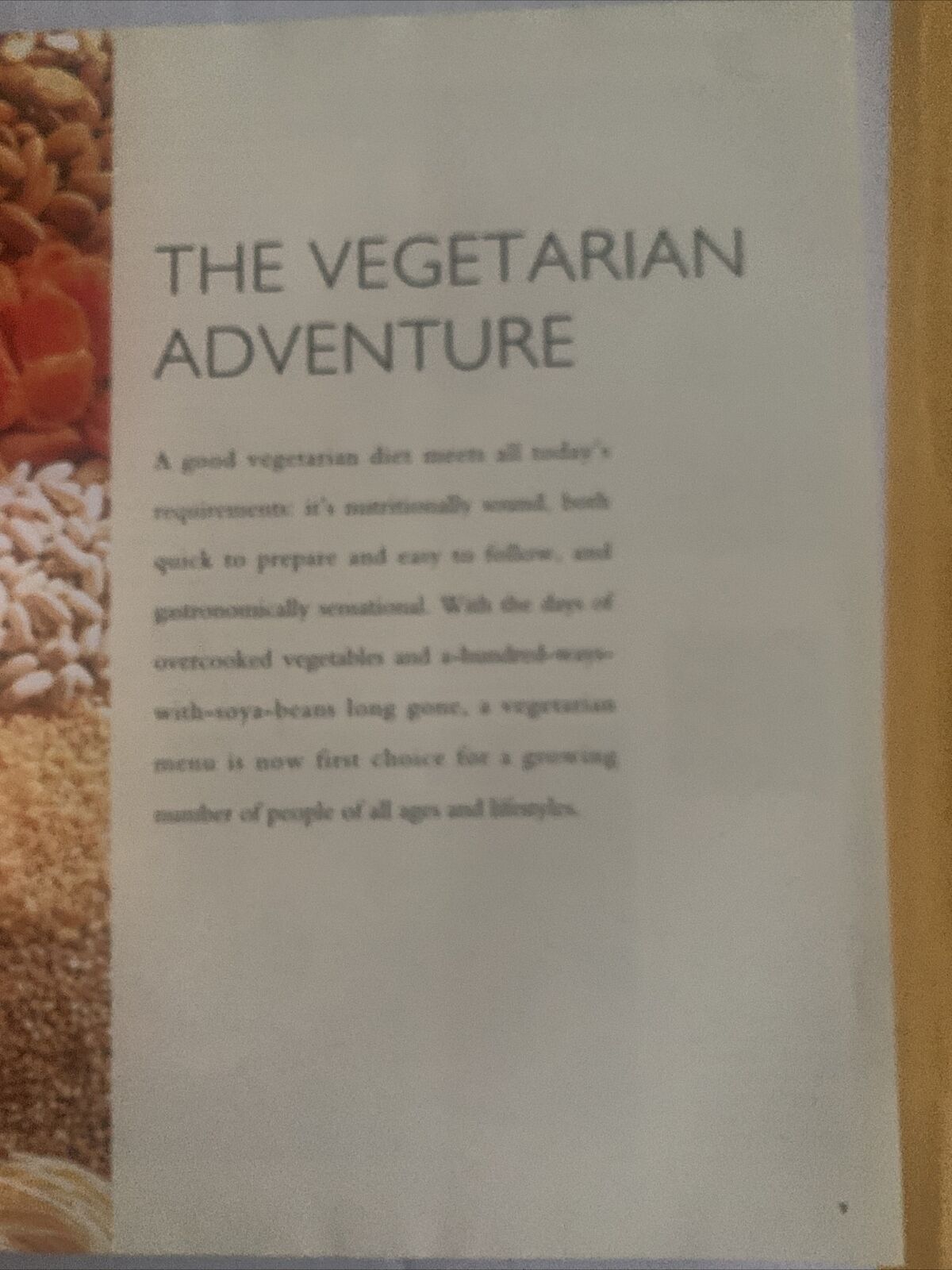 Cookbook The ESSENTIAL VEGETARIAN Murdoch Books 1997 Australia Recipe HC DJ NEW