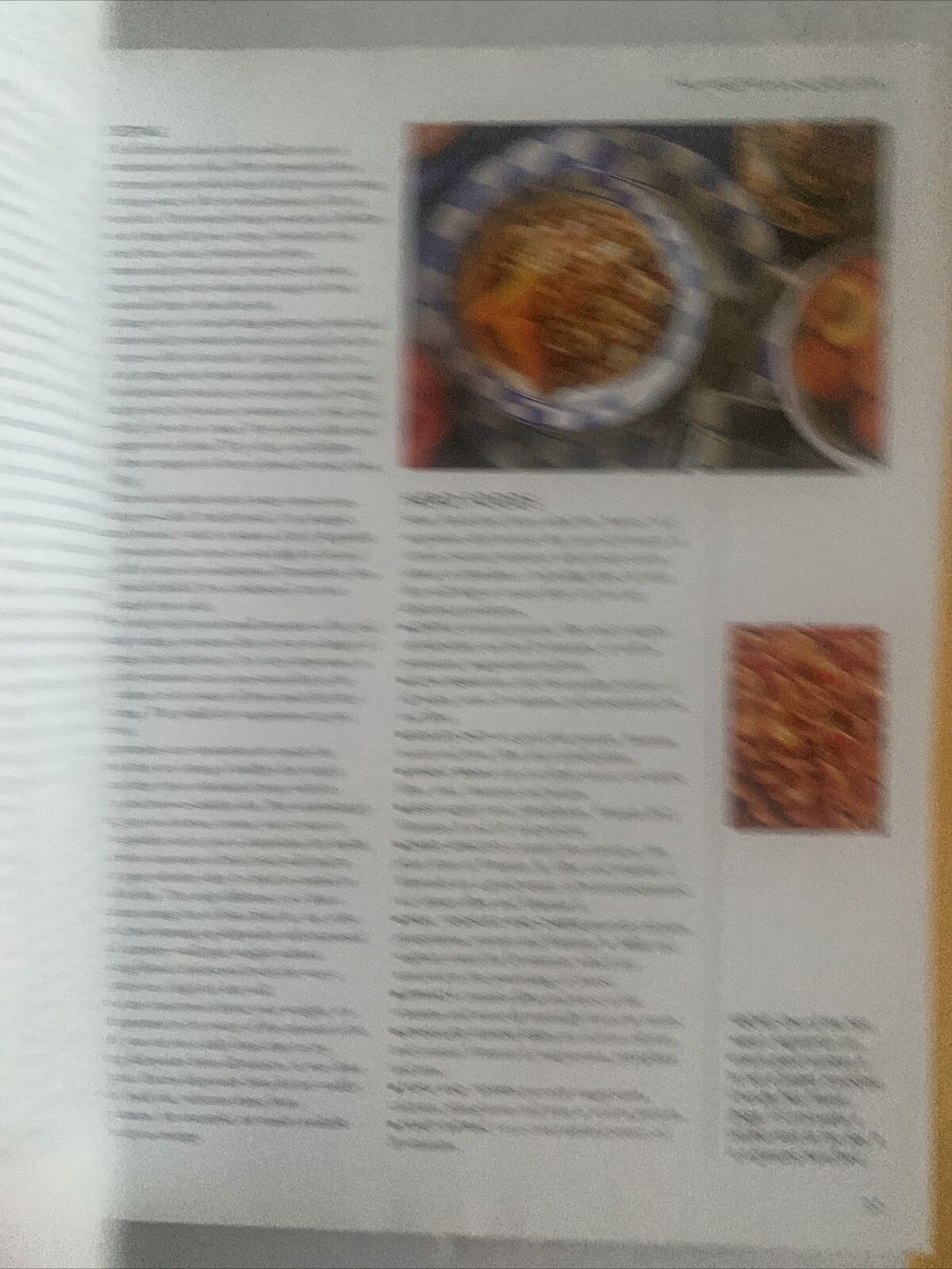 Cookbook The ESSENTIAL VEGETARIAN Murdoch Books 1997 Australia Recipe HC DJ NEW