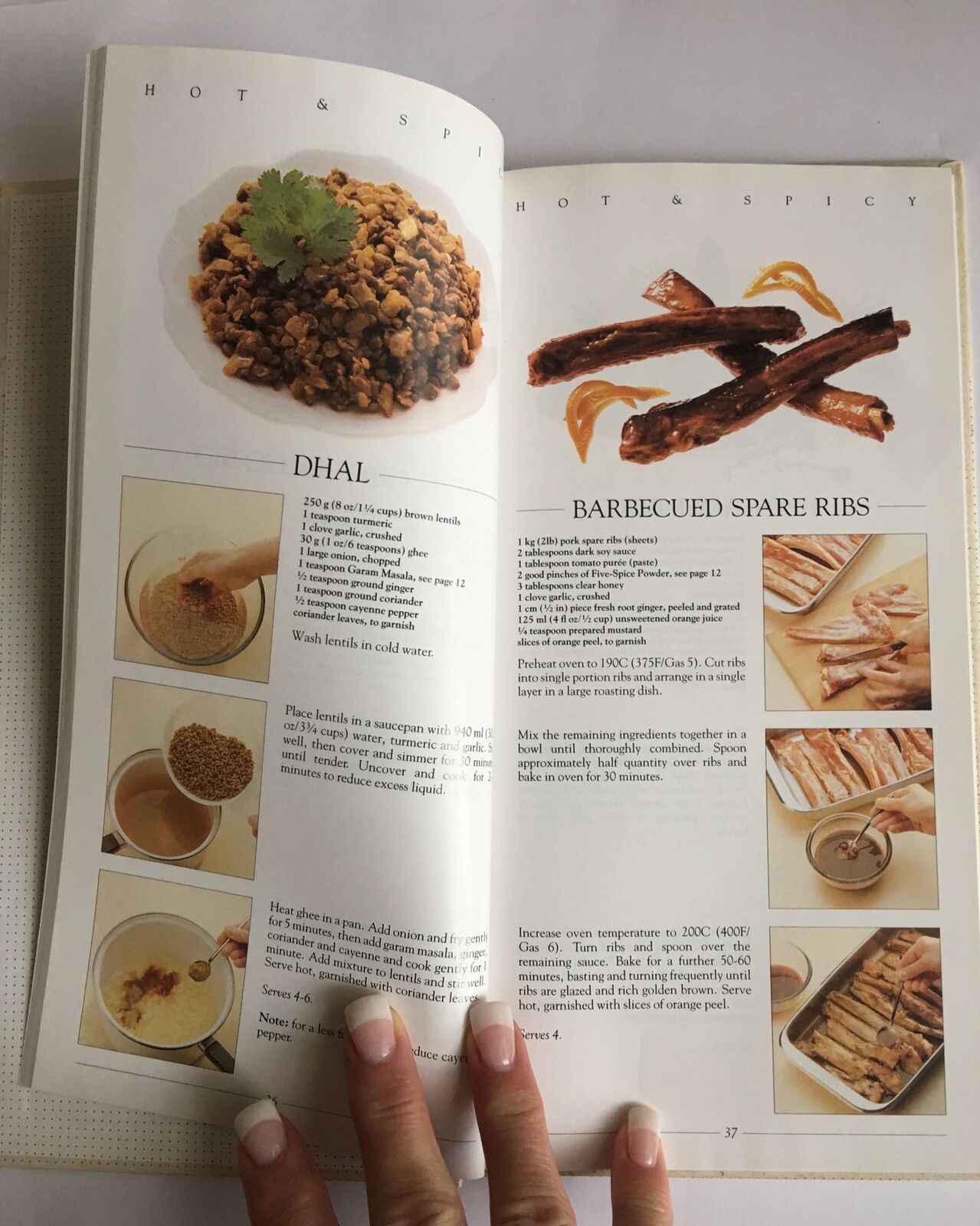 Cookbook THE BOOK OF HOT & SPICY Nibbles Dips Dishes LOUISE STEELE HC Recipes