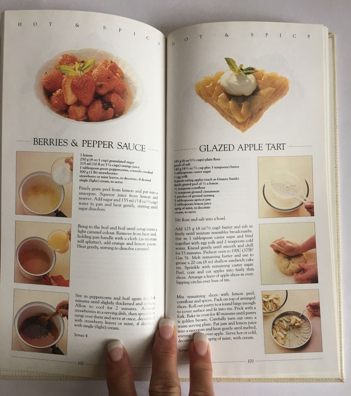 Cookbook THE BOOK OF HOT & SPICY Nibbles Dips Dishes LOUISE STEELE HC Recipes