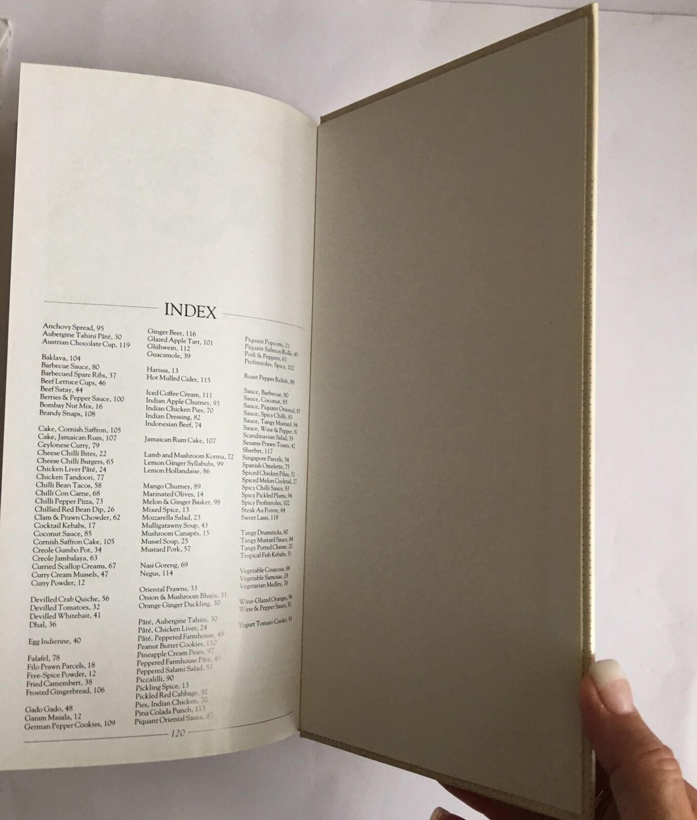 Cookbook THE BOOK OF HOT & SPICY Nibbles Dips Dishes LOUISE STEELE HC Recipes