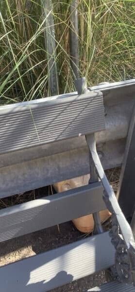 Outdoor Garden Bench Aluminium Cast Legs w Raspberry Vine 182cm Long Alum Slats