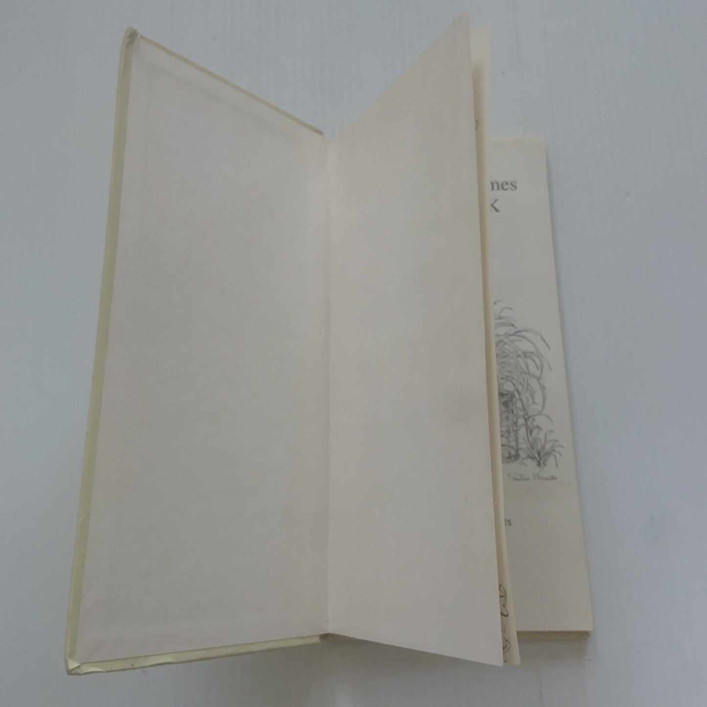 Cookbook The TERRACE TIMES BALMAIN Edition Slim HC Recipes by Helen Arbib 1978