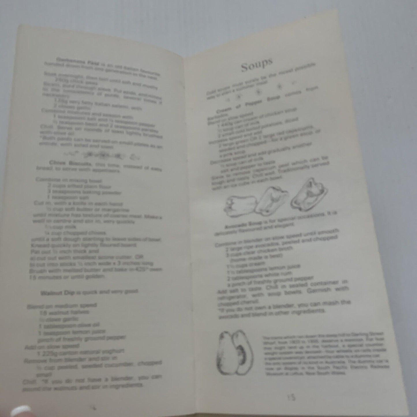Cookbook The TERRACE TIMES BALMAIN Edition Slim HC Recipes by Helen Arbib 1978
