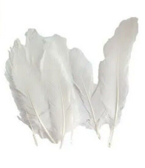 New 3x 30x Craft White Feathers  DIY Art Party Decoration Wedding Dream Catcher