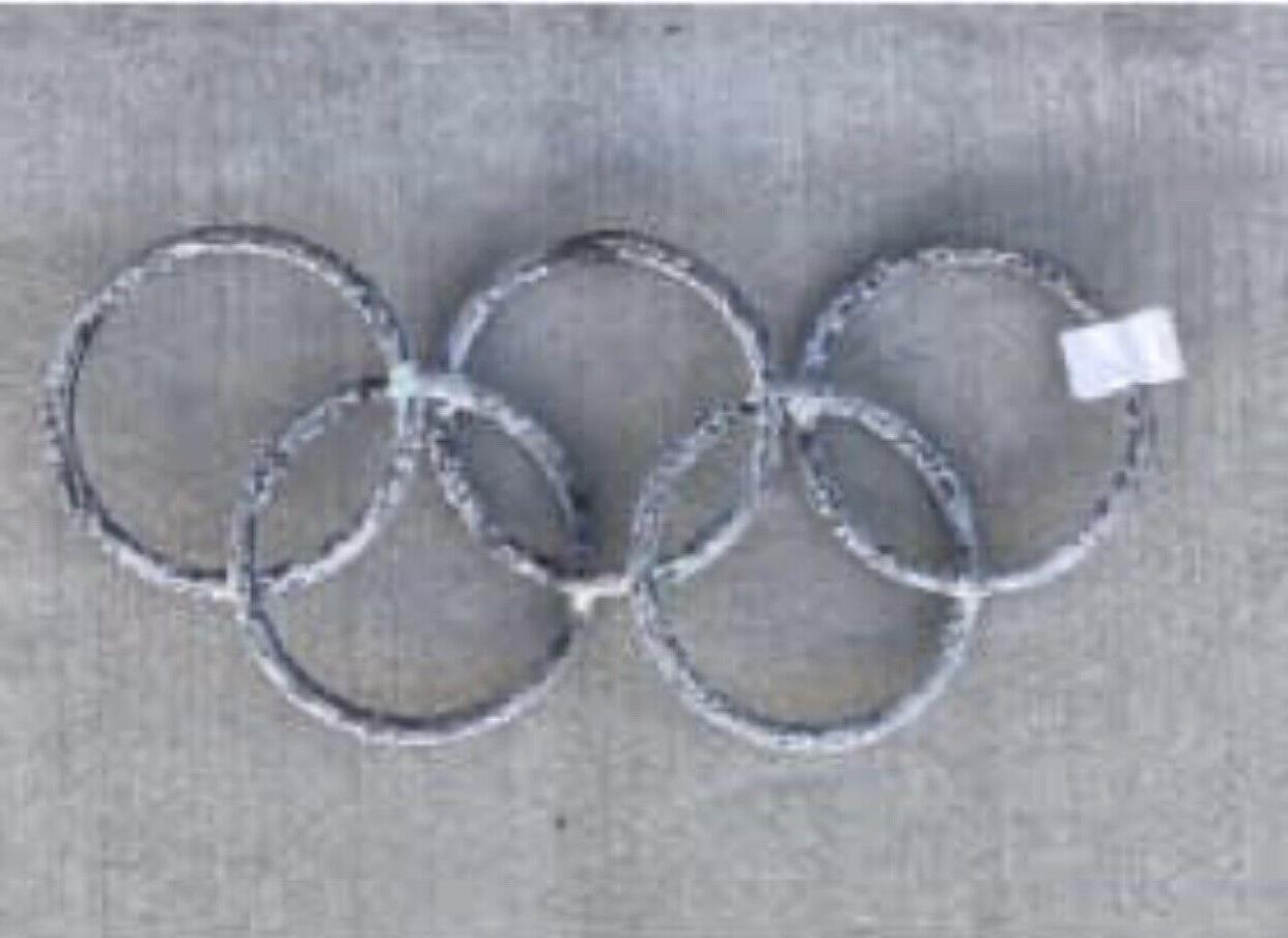 48cm Cast Aluminium Olympic Rings floral topiary frames Wall Art Limed Patina