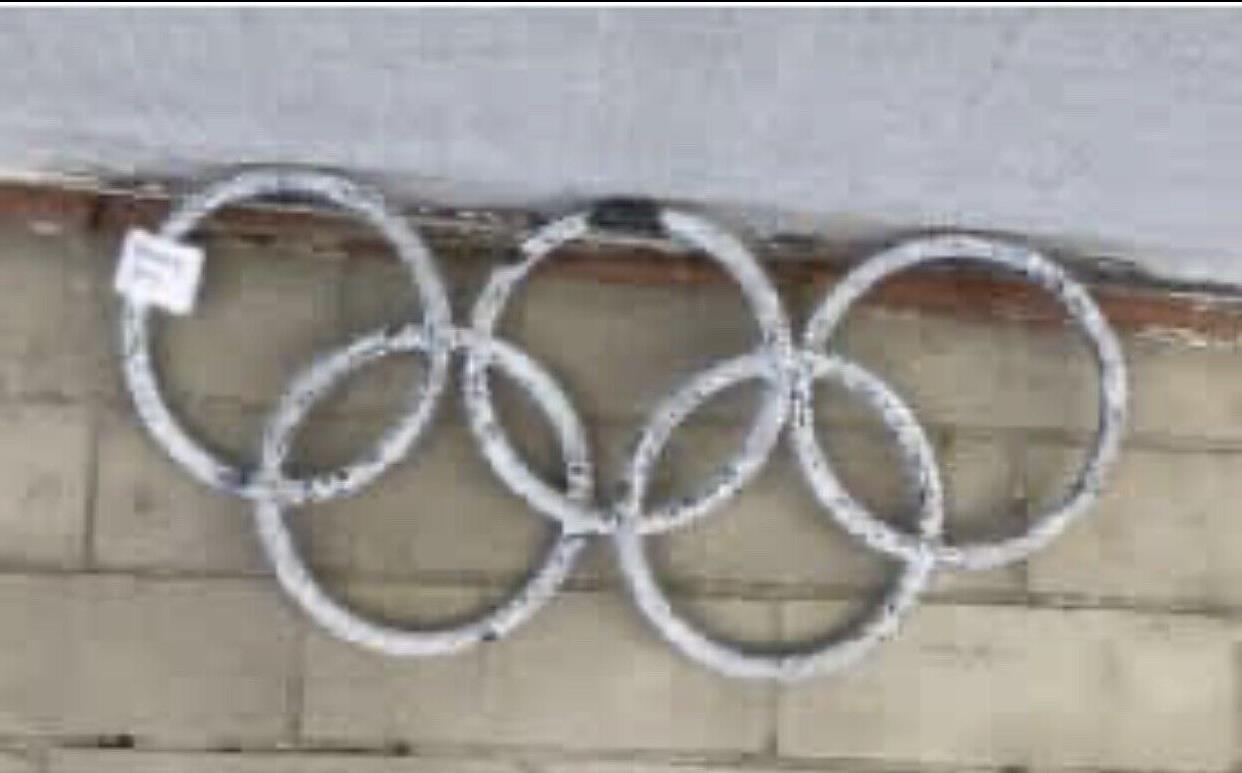 48cm Cast Aluminium Olympic Rings floral topiary frames Wall Art Limed Patina